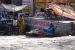 05 Jaipur  Jodpur Mix (82)